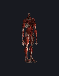 Colossal Titan